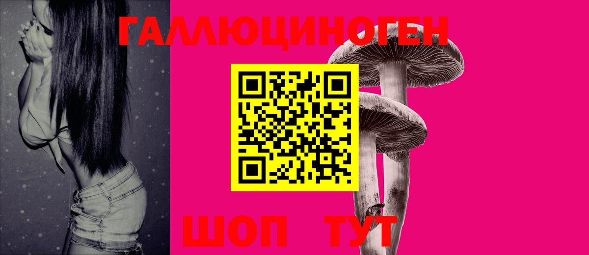 Псилоцибиновые грибы Psilocybe  Вход с VPN  Псилоцибиновые грибы прущие грибы  Зима 